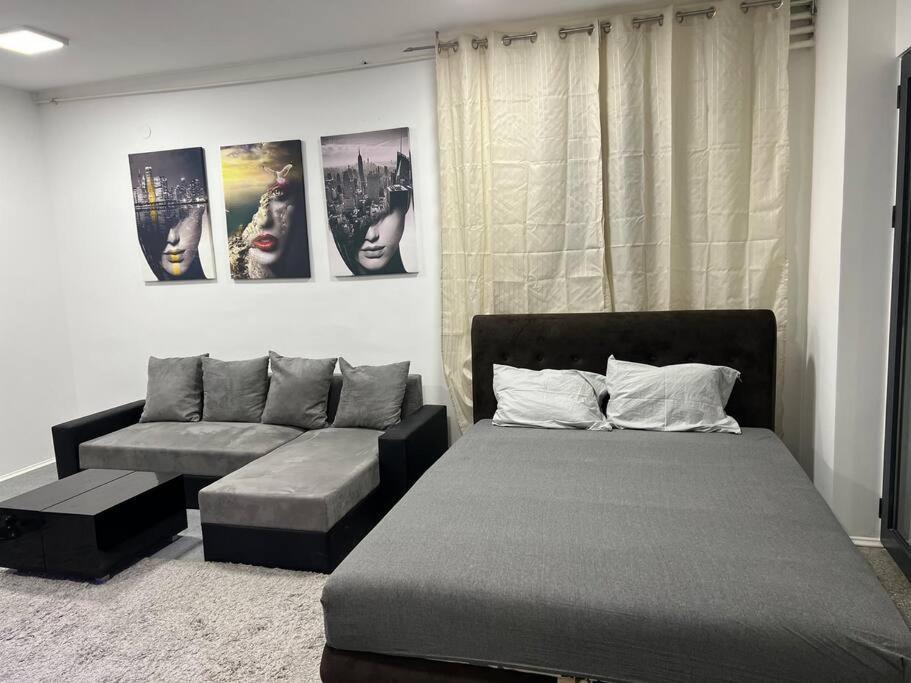 Dorcol Lux Studio Belgrado Exterior foto