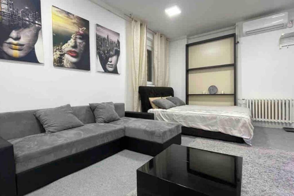 Dorcol Lux Studio Belgrado Exterior foto